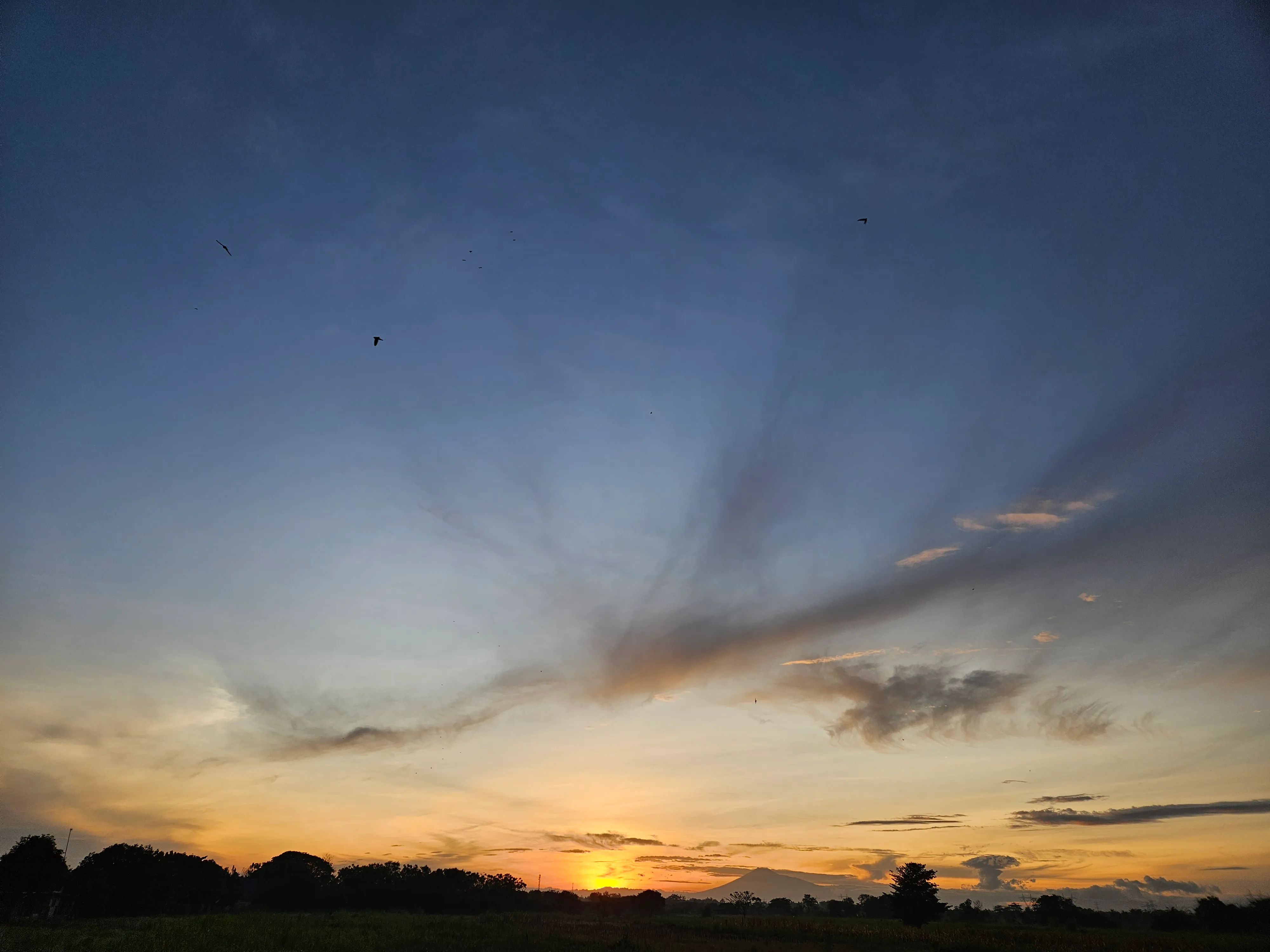 Sunrise over a tree-lined horizon beneath a cloudy morning sky